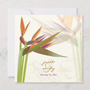 PixDezines PARADIJSVOGEL/DIY Achtergrondkleur Kaart