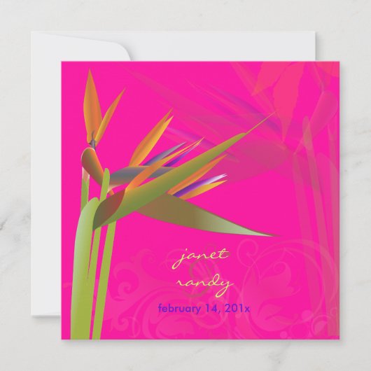 PixDezines PARADIJSVOGEL/DIY Achtergrondkleur Kaart (Voorkant)