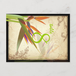 PixDezines  paradijsvogel/diy lettertype/kleur Briefkaart