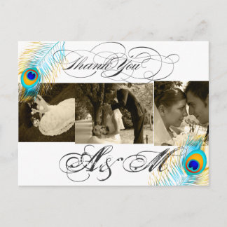 PixDezines Peacock Trouwfoto's Dank u Briefkaart