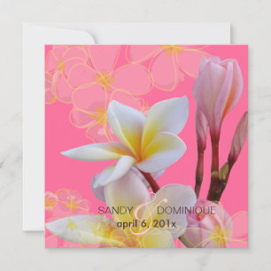 PixDezines Pink Plumeria Wedding Invitations Kaart