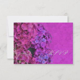 PixDezines RSVP Hydrangea, magenta