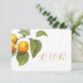 PixDezines RSVP Orchard/Peches/Redoute (Debout devant)