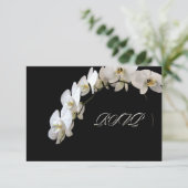 PixDezines rsvp Orchidée blanche (Debout devant)