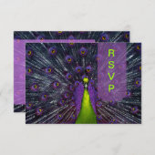 PixDezines rsvp Peacock Feather (Devant / Derrière)