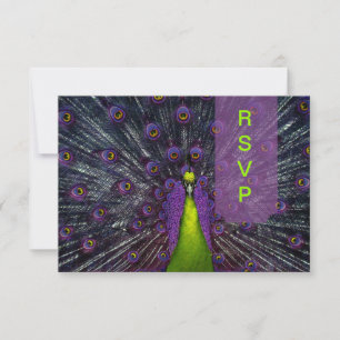 PixDezines rsvp Peacock Feather Kaartje