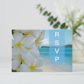 PixDezines RSVP PLUMERIA LEI/BEACH (Debout devant)