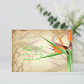 PixDezines RSVP VINTAGE OISEAU DE PARADIS (Debout devant)