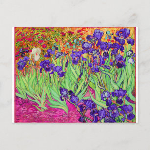 PixDezines van gogh iris/st. remy Briefkaart