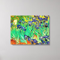 PixDezines van gogh irises/st. remy