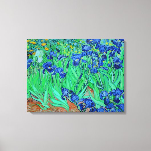PixDezines van gogh irissen/st. remy Canvas Afdruk (Voorkant)