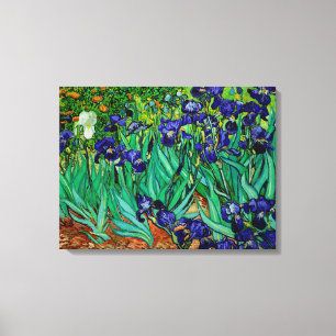 PixDezines van gogh irissen/st. remy Canvas Afdruk