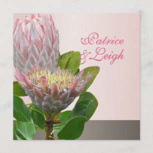 PixDezines verse maui protea bleek roze/dij Kaart