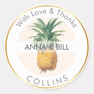 PixDezines Vintage Ananas/DIY Bedankt Ronde Sticker