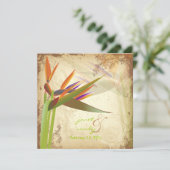 PixDezines  VOGELS VAN PARADISE Kaart (Staand voorkant)