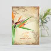 PixDezines  VOGELS VAN PARADISE Kaart (Staand voorkant)