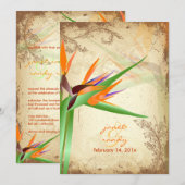 PixDezines  VOGELS VAN PARADISE Kaart (Voorkant / Achterkant)