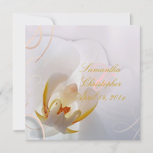PixDezines White Orchid | Bleek roze + wit Kaart (Voorkant)