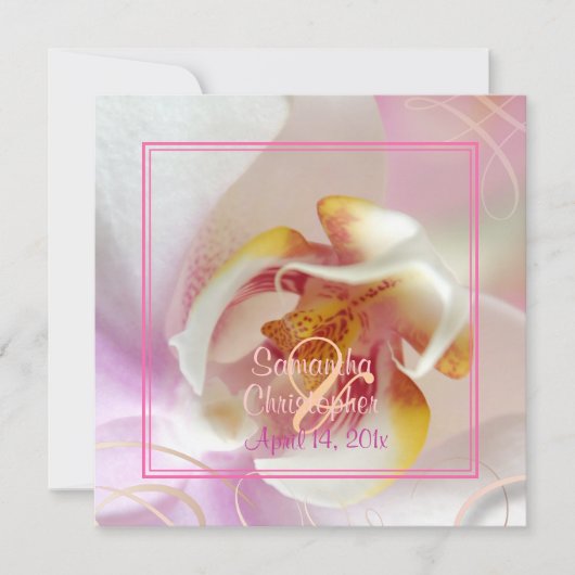 PixDezines White Orchid | Bleek roze + wit Kaart (Voorkant)