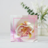 PixDezines White Orchid | Bleek roze + wit Kaart (Staand voorkant)