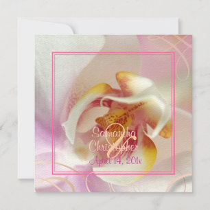 PixDezines White Orchid   Bleek roze + wit Kaart