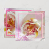 PixDezines White Orchid | Bleek roze + wit Kaart (Voorkant / Achterkant)