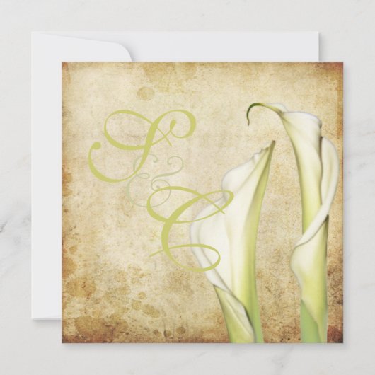 PixDezines  Witte Calla lilies Kaart (Voorkant)