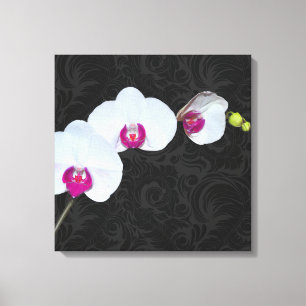 PixDezines Witte Orchidee/DIY Achtergrondkleur Canvas Afdruk