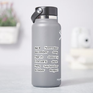 Pixelige Maanden Van Het Jaar Z/W Sticker Set