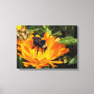 Pixerstick Sticker - Calendula en bij Canvas Afdruk