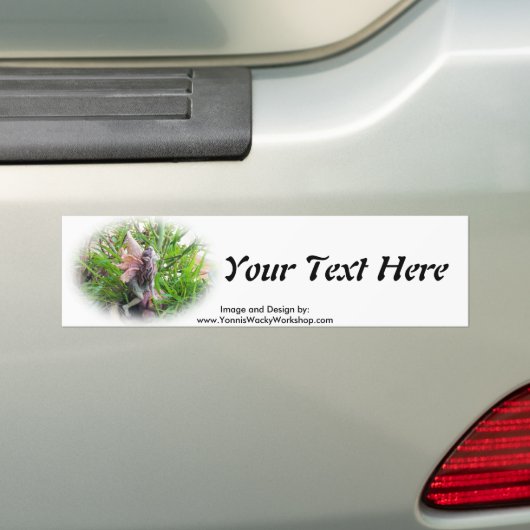 Pixie Bumpersticker (Op auto)