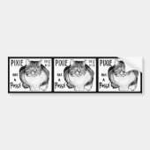 Pixie heeft een Posteringssticker set Bumpersticker (Voorkant)