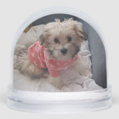 Pixie popper snow globe sneeuwbol (Voorkant)