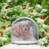 Pixie popper snow globe sneeuwbol (Kerstmis)