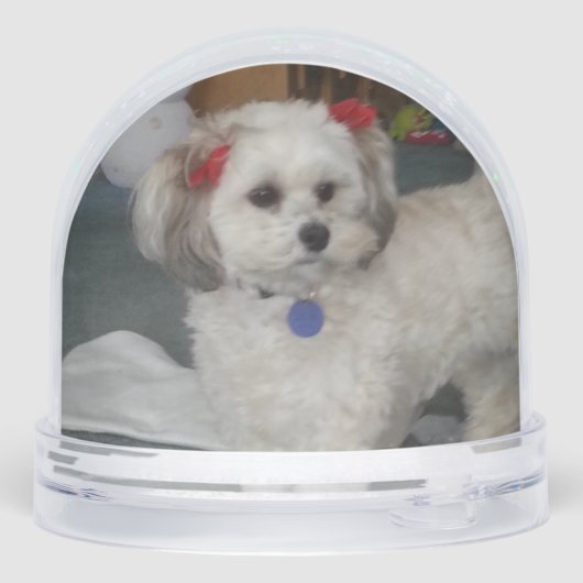 Pixie popper snow globe sneeuwbol (Achterkant)