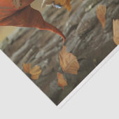 Pixie Sinaasappel naar rechts gericht Pet tissue p Tissuepapier (Detail)