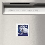 Piyip Magnet (In Situ (Lave-vaisselle))