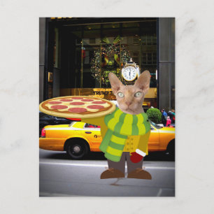 PIZZA LEVERING CAT NYC-BRIEFKAARTEN BRIEFKAART