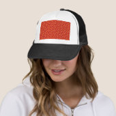 pizza trucker pet (In situ)