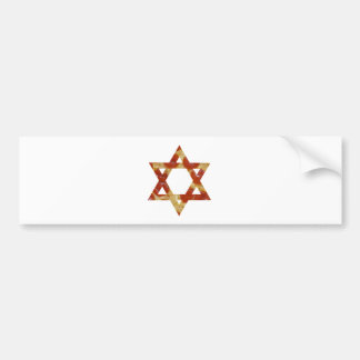 pizzakster van david bumpersticker