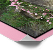 Pk old-fashroses op bluff-ZP Poster (Hoek)