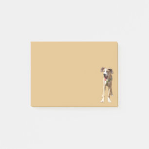 Plaats het op Walter de Grote Dane Post-it® Notes