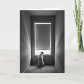 Plaats van de sleutel (hond voor venster) Blank We Kaart