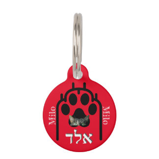 Placa para macotas Pequeña, ¨b'li ayin hara¨ Huisdierpenning