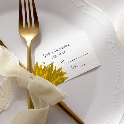 Placement Carte de la place de Quinceanera