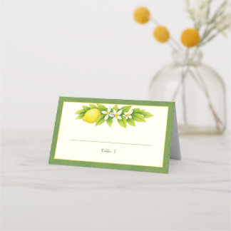 Placement Carte de table de mariage Citrus Garden Orange & L