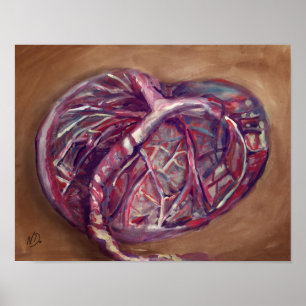 Placenta art poster - vroedvrouw kantoor, doulas