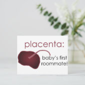 placenta, baby's first roommate briefkaart (Staand voorkant)