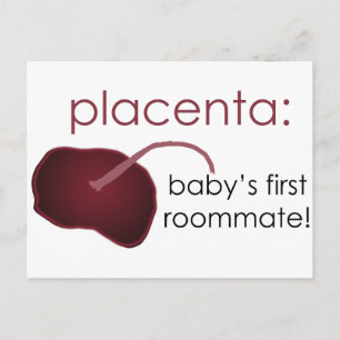 placenta, baby's first roommate briefkaart