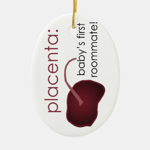 placenta, de eerste kamergenoot van de baby keramisch ornament